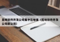 昆明软件开发公司集中在哪里（昆明软件开发公司新公司）